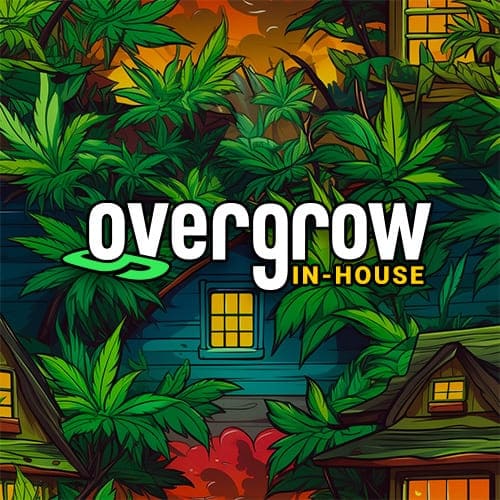 Pink Frosted Cookies