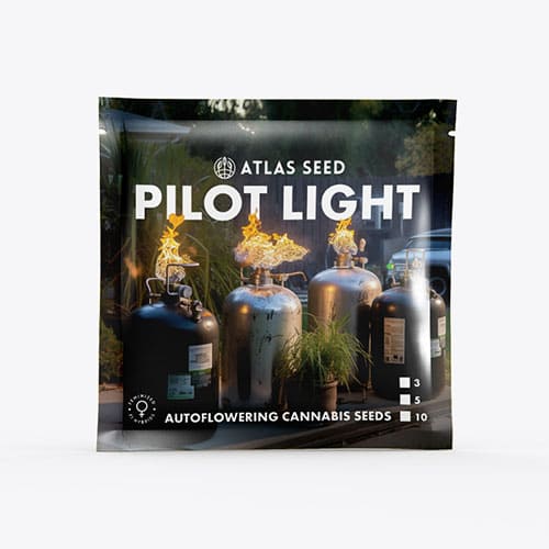 Pilot Light Auto - 2