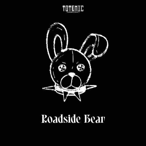 Roadside Bear