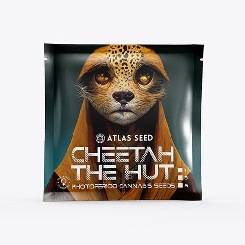 Cheetah the Hut - 3