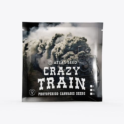 Crazy Train FAST - 2