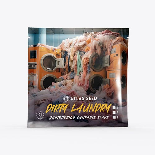 Dirty Laundry FAST - 2