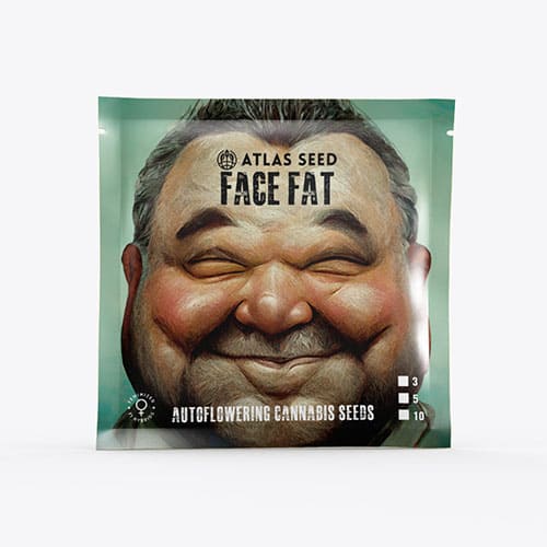 Face Fat Auto - 3