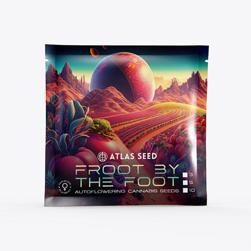 Froot by the Foot Auto - 3