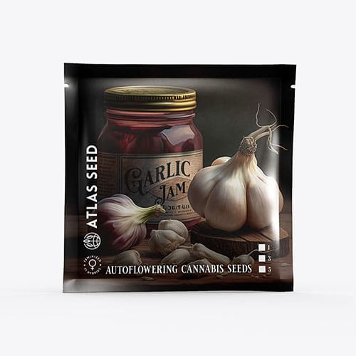 Garlic Jam Auto - 2