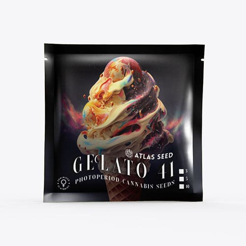 Gelato 41 - 3