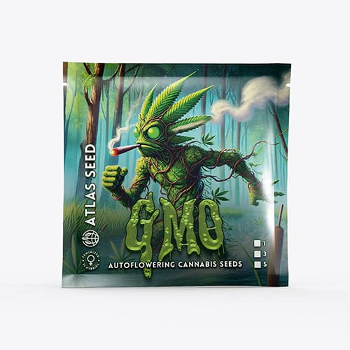 GMO Auto - 3