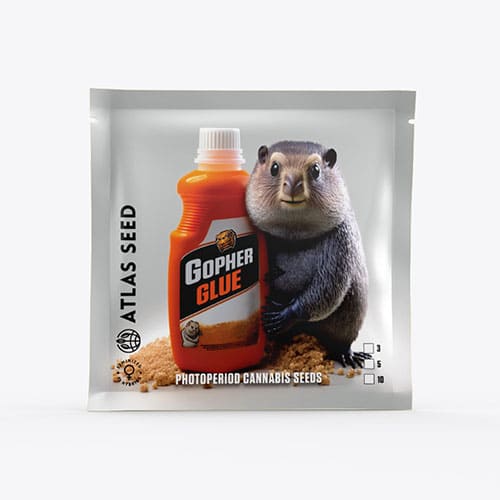 Gopher Glue FAST - 2