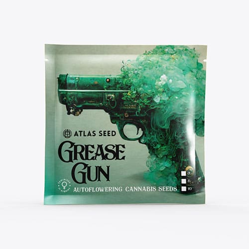Grease Gun Auto - 4