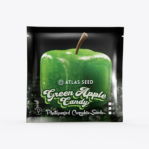Green Apple Candy - 2
