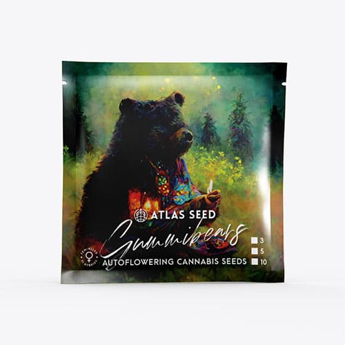 Gummibears Auto - 3