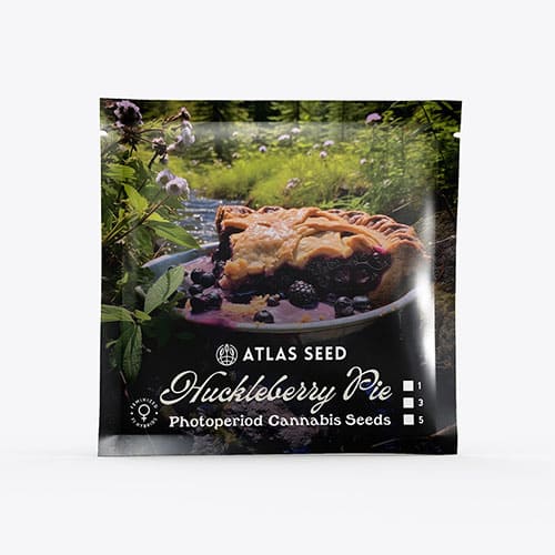 Huckleberry Pie FAST - 2