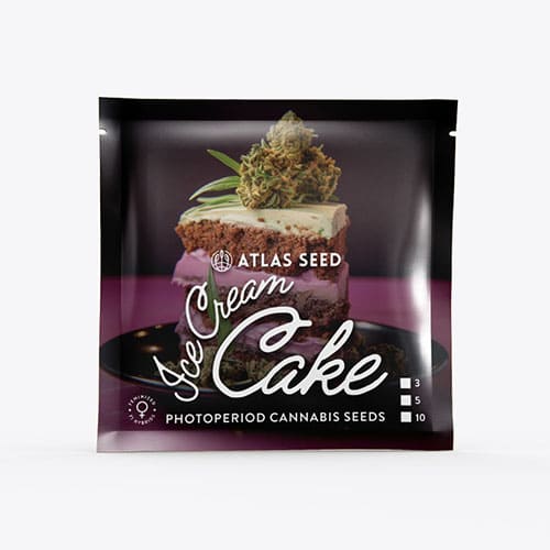 Ice Cream Cake FAST - 2