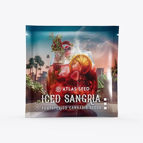 Iced Sangria - 2