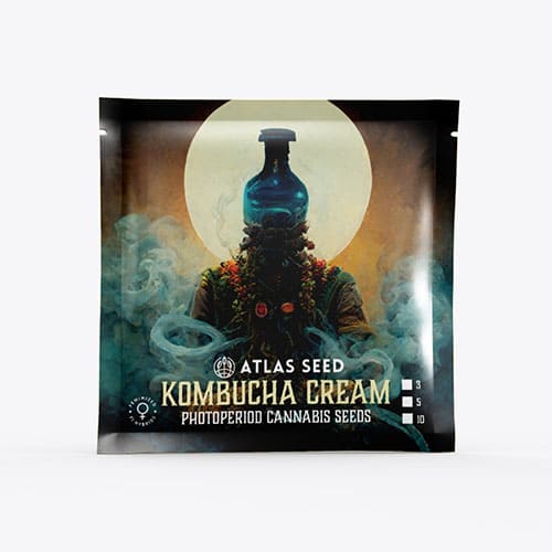 Kombucha Cream - 2