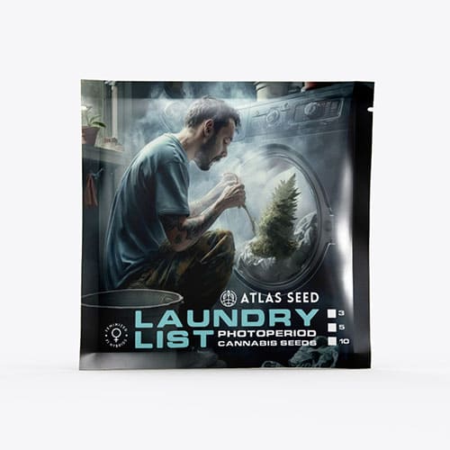 Laundry List - 2