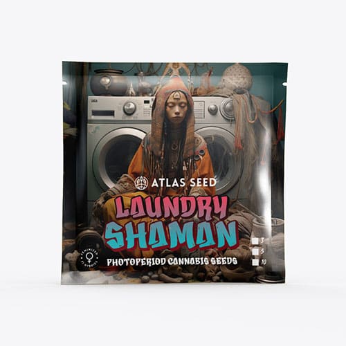 Laundry Shaman - 2
