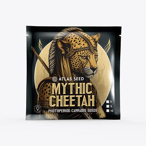 Mythic Cheetah FAST - 3