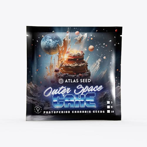 Outer Space Cake - 2