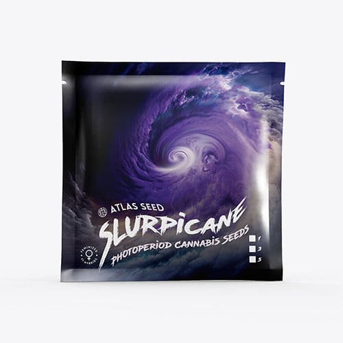 Slurpicane FAST - 2
