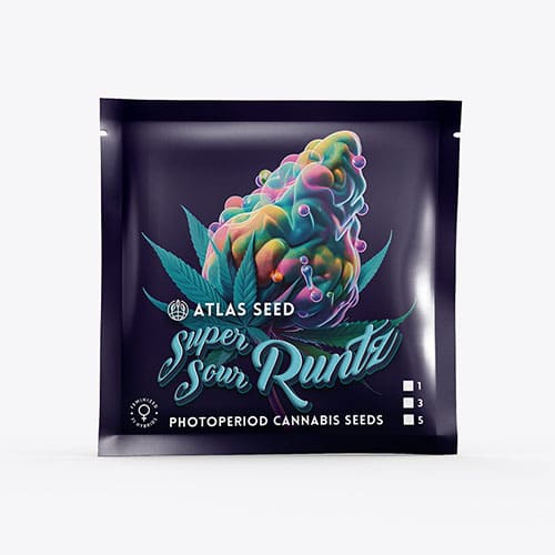 Super Sour Runtz - 3