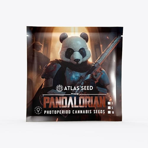 The Pandalorian - 2