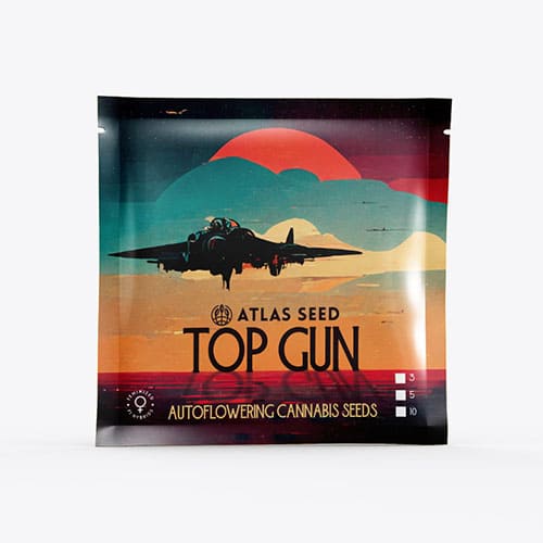 Top Gun Auto - 3