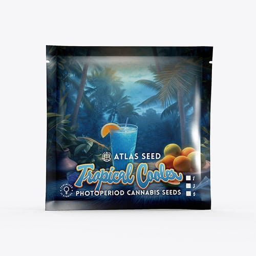 Tropical Cooler - 2