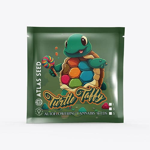Turtle Taffy Auto - 2