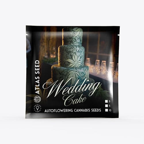 Wedding Cake Auto - 3