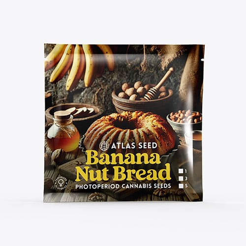 Banana Nut Bread - 2