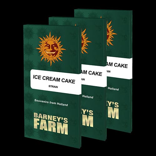 Ice Cream Cake