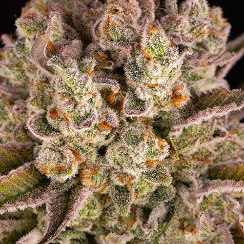 Pineapple Express - 2
