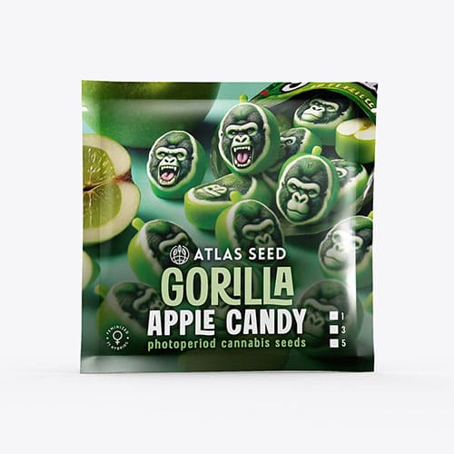 Gorilla Apple Candy - 2