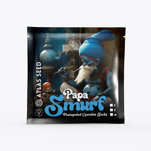 Papa Smurf FAST - 3