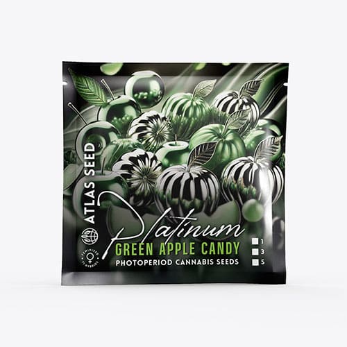 Platinum Green Apple Candy - 2