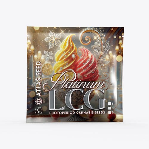 Platinum Lemon Cherry Gelato - 2