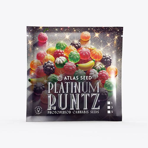 Platinum Runtz - 2