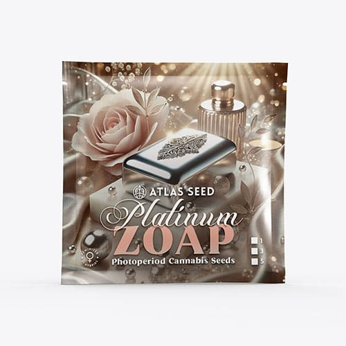 Platinum Zoap - 2