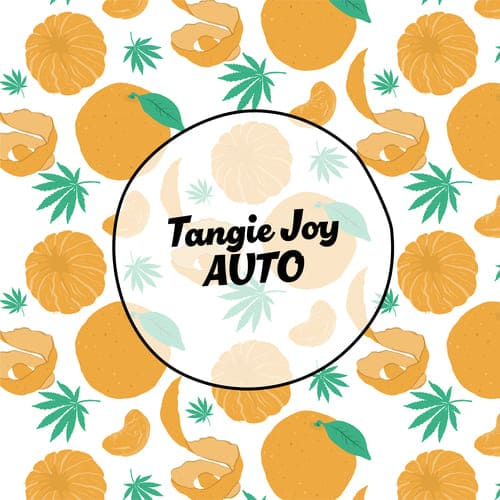 Tangie Joy Auto - 4